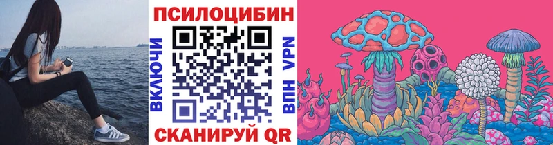 где можно купить наркотик  Меленки  Псилоцибиновые грибы MAGIC MUSHROOMS 